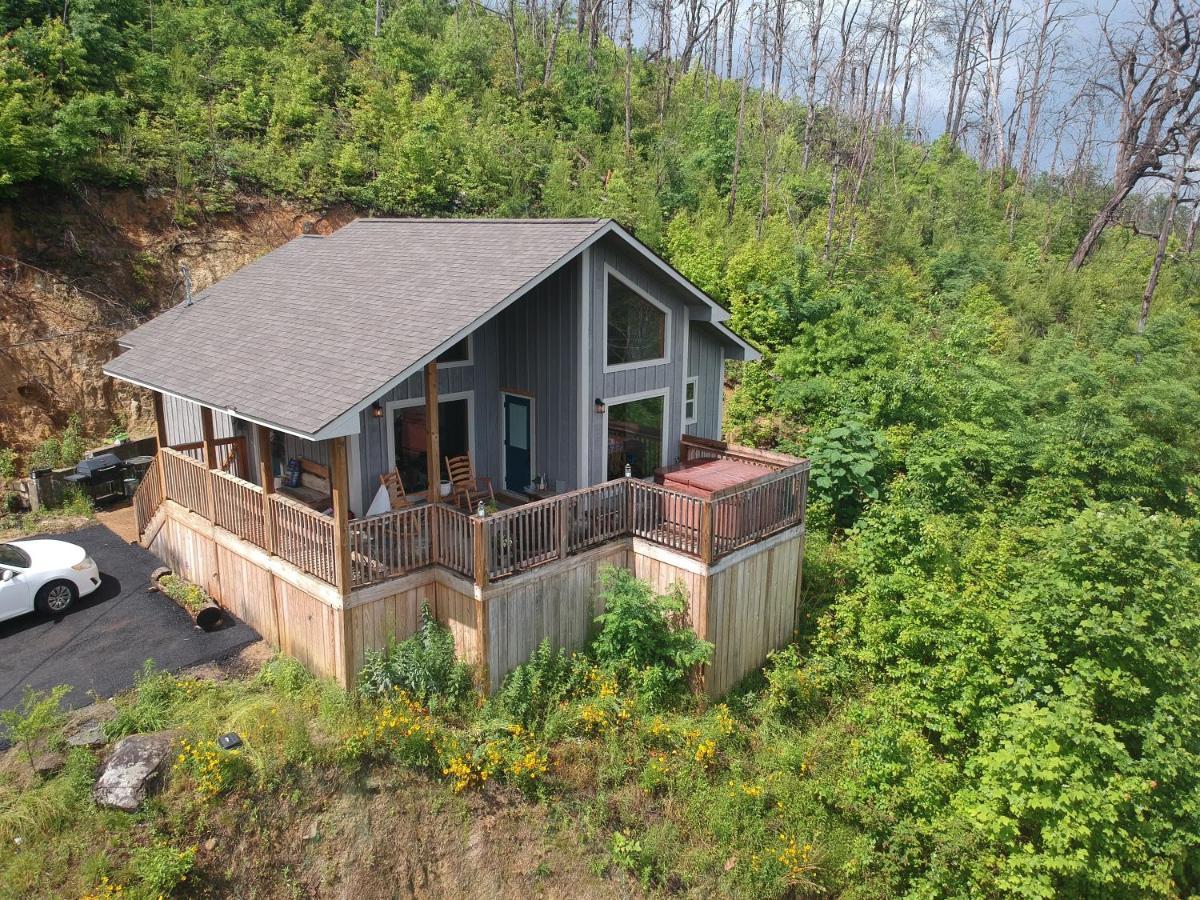 Вилла Love Nest Chalet Гатлинбург Экстерьер фото